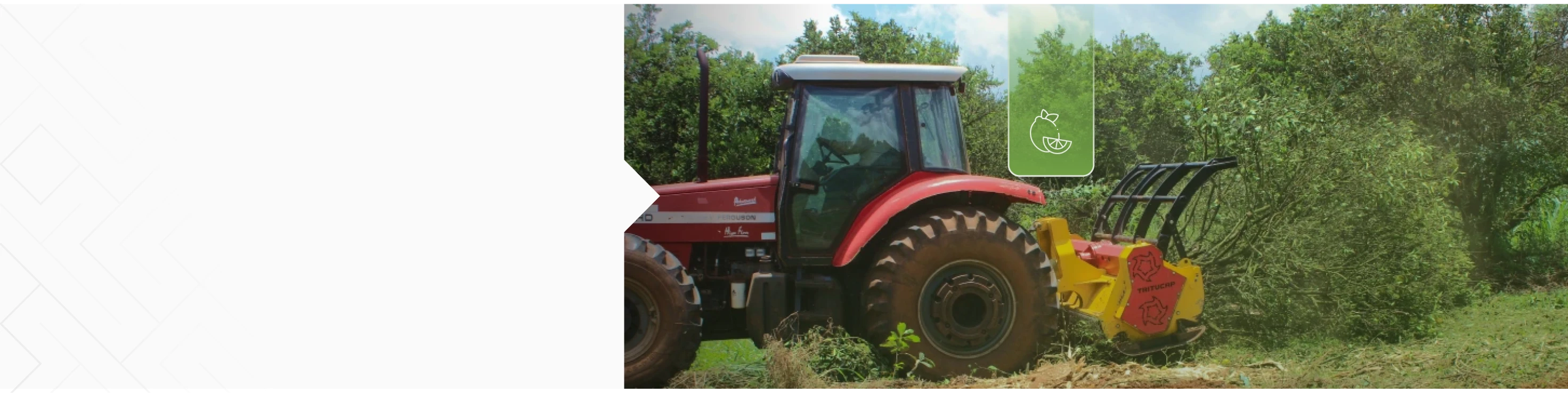 Trituradores&nbsp;de&nbsp;Citrus